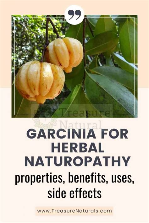 garcinia benefits and side effects.